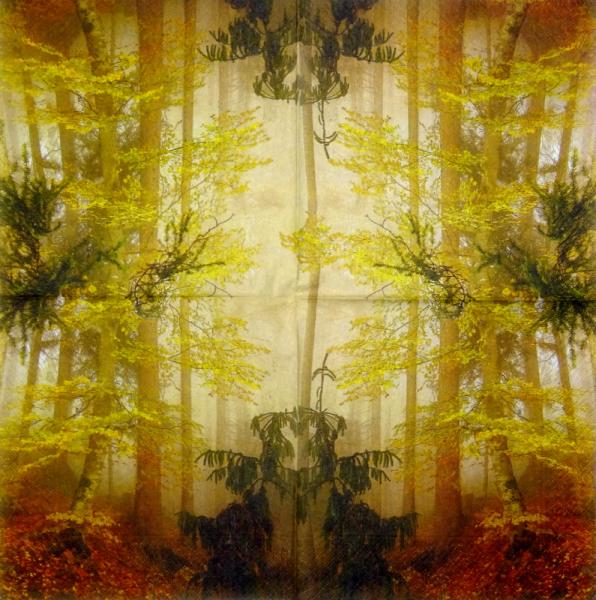 001 Pflanzen - 3 lagig - Molca